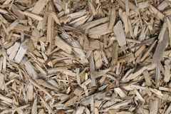 biomass boilers Leire